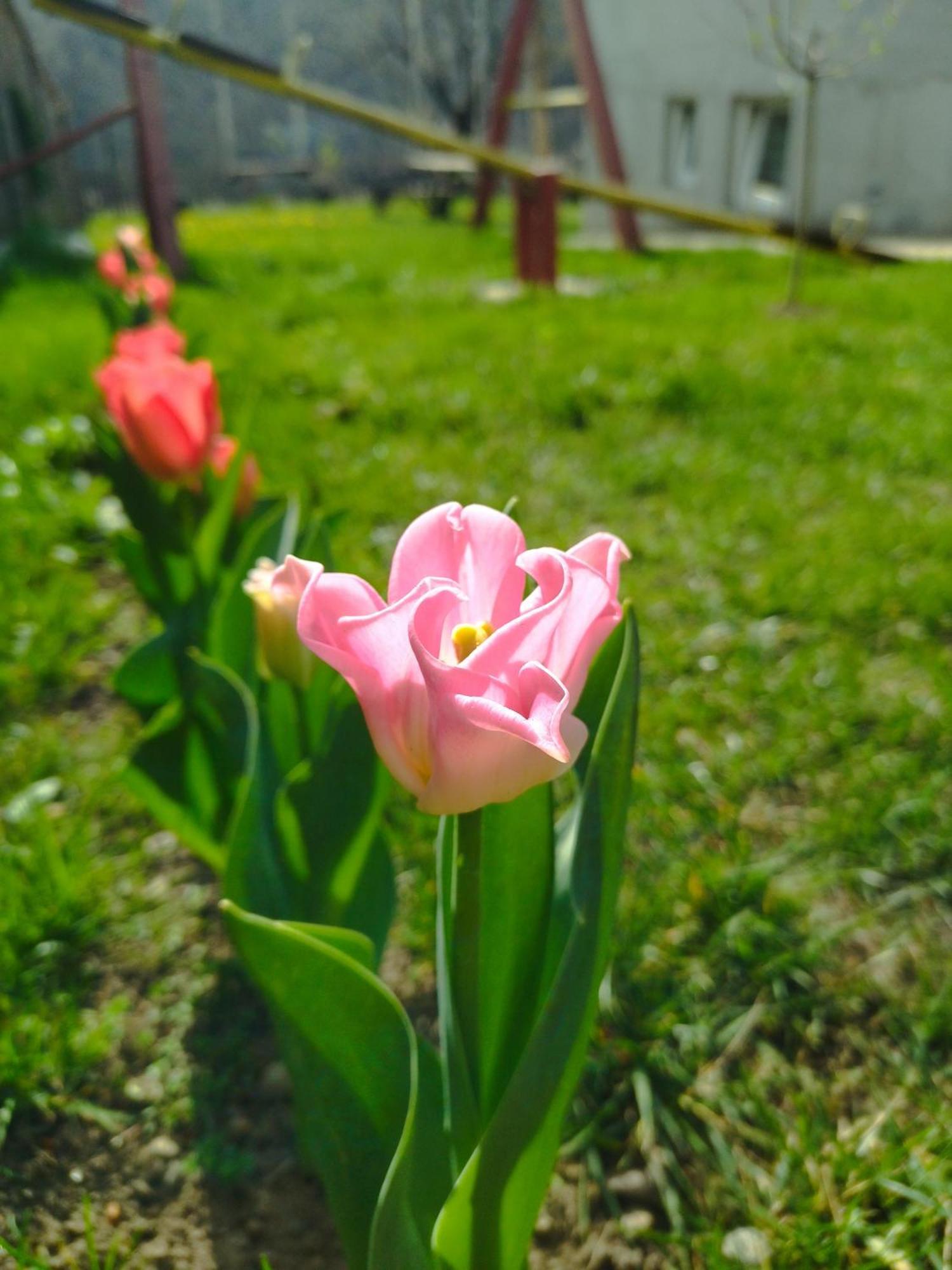 Konak Garavi Sokak Kursumlija Zimmer foto